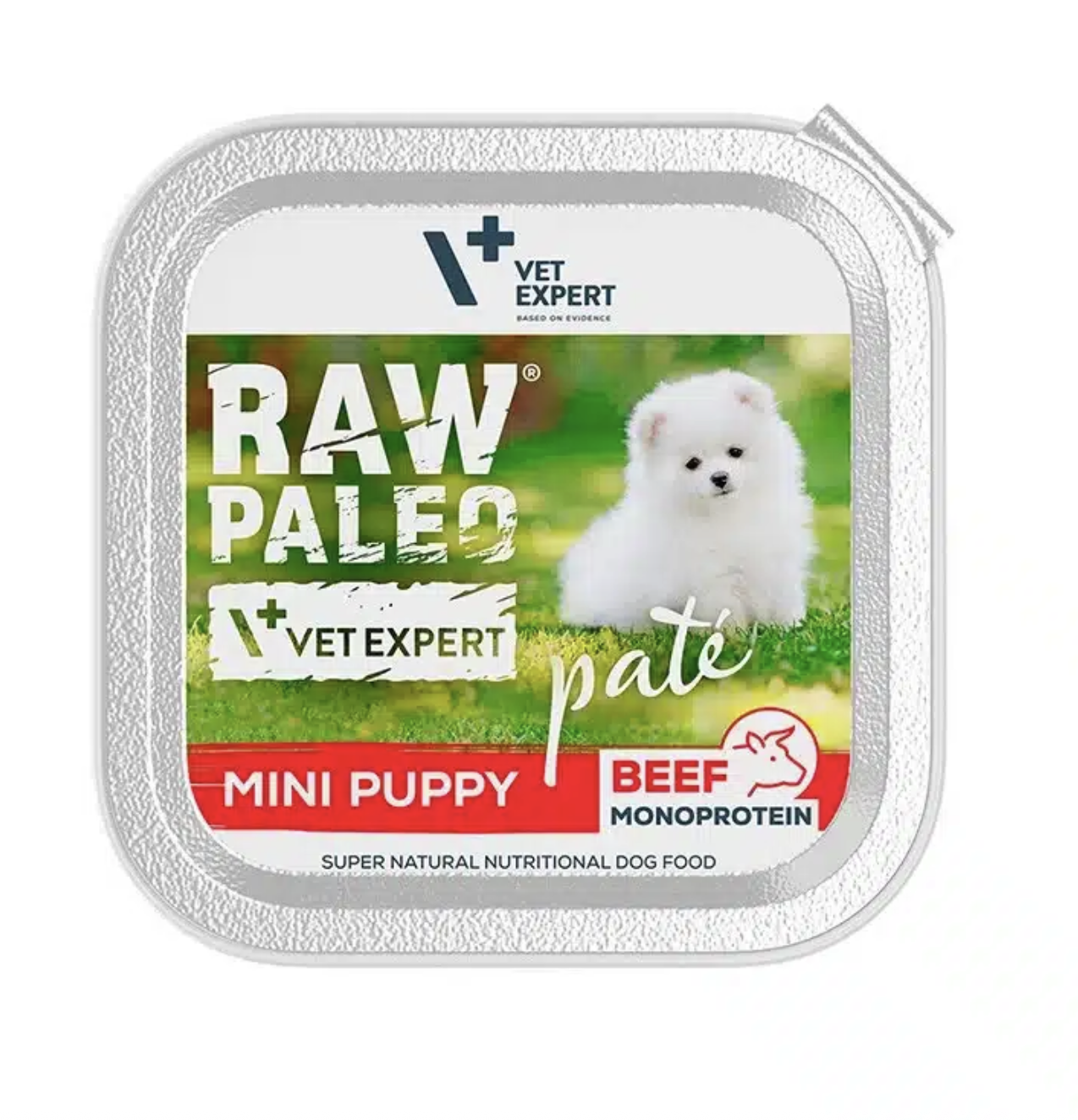 Screenshot 2026-03-19 at 21.38.33