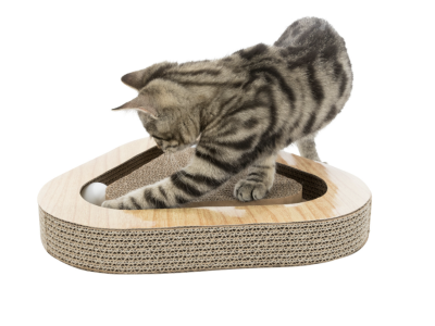 ДРАСКАЛКА С ТОПЧЕ ЗА ИГРА