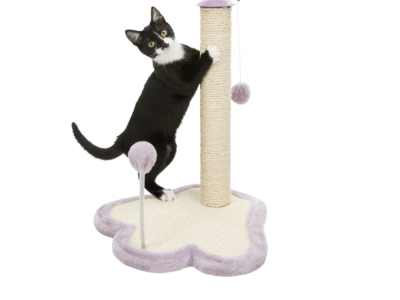 ДРАСКАЛКА JUNIOR STAMM